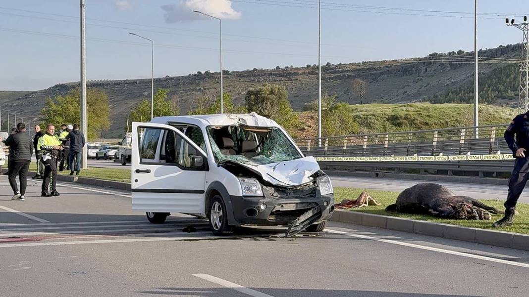 Yola fırlayan at, sivil polis aracına girdi! 1'i ağır 2 polis yaralandı, at ise öldü 5